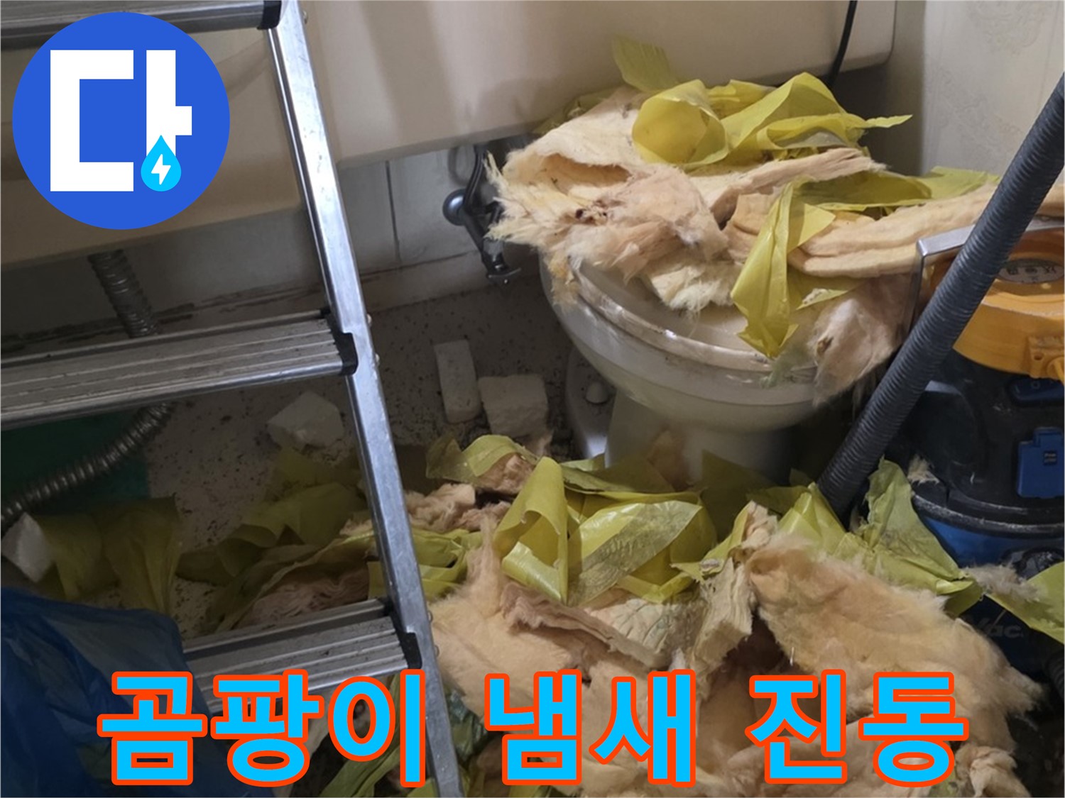 새절역 누수 현장 - 찢어진 보온재, 곰팡이 냄새 - 건강 위협