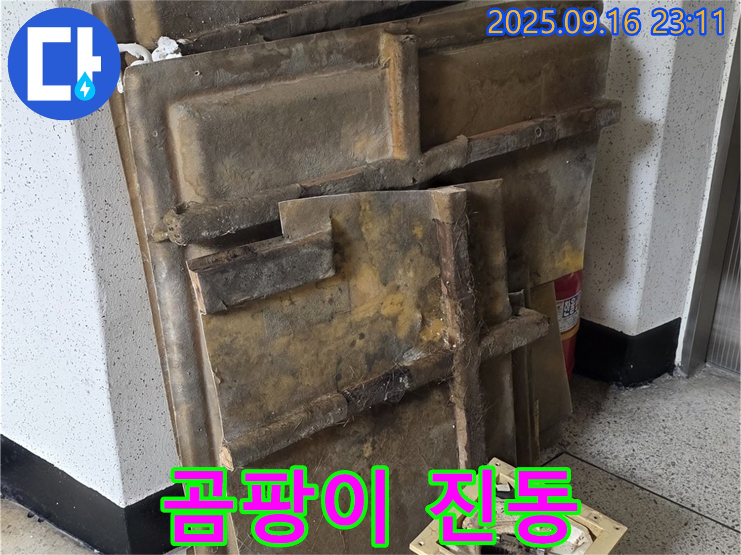 새절역 현대아파트 누수 - 곰팡이 냄새가 진동하는 폐기될 텍스와 조명