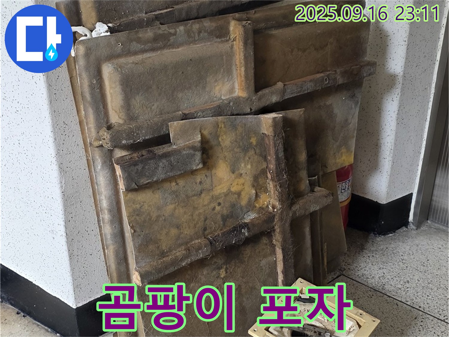 새절역 현대아파트 누수 - 곰팡이 포자가 가득한 폐기될 텍스와 조명