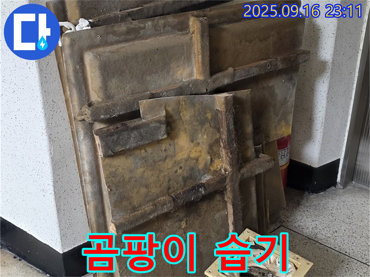 새절역 현대아파트 누수 - 곰팡이와 습기의 콜라보, 폐기될 텍스와 조명
