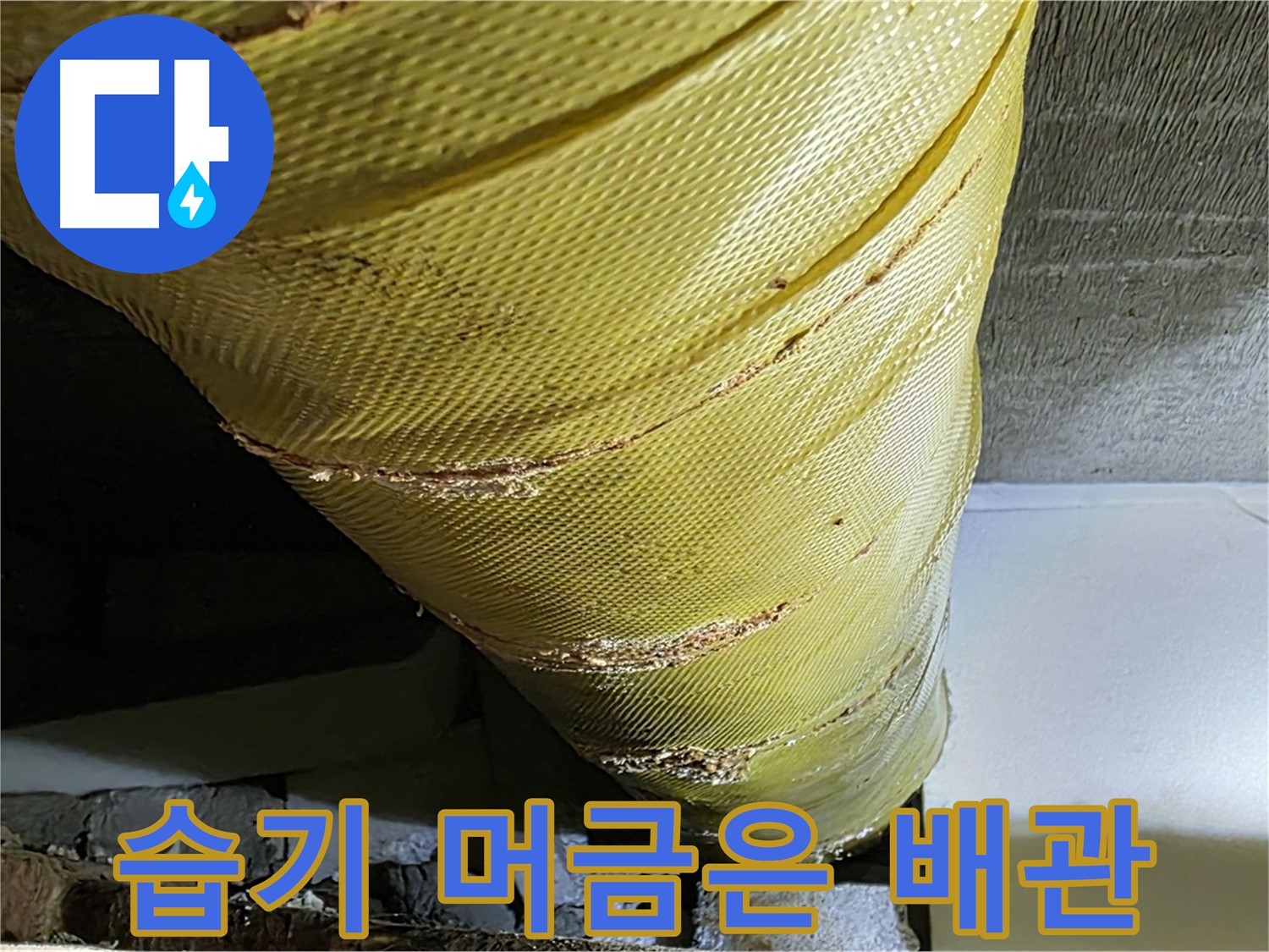 습기 머금은 배관 - 낡은 커버 - 곰팡이 위험