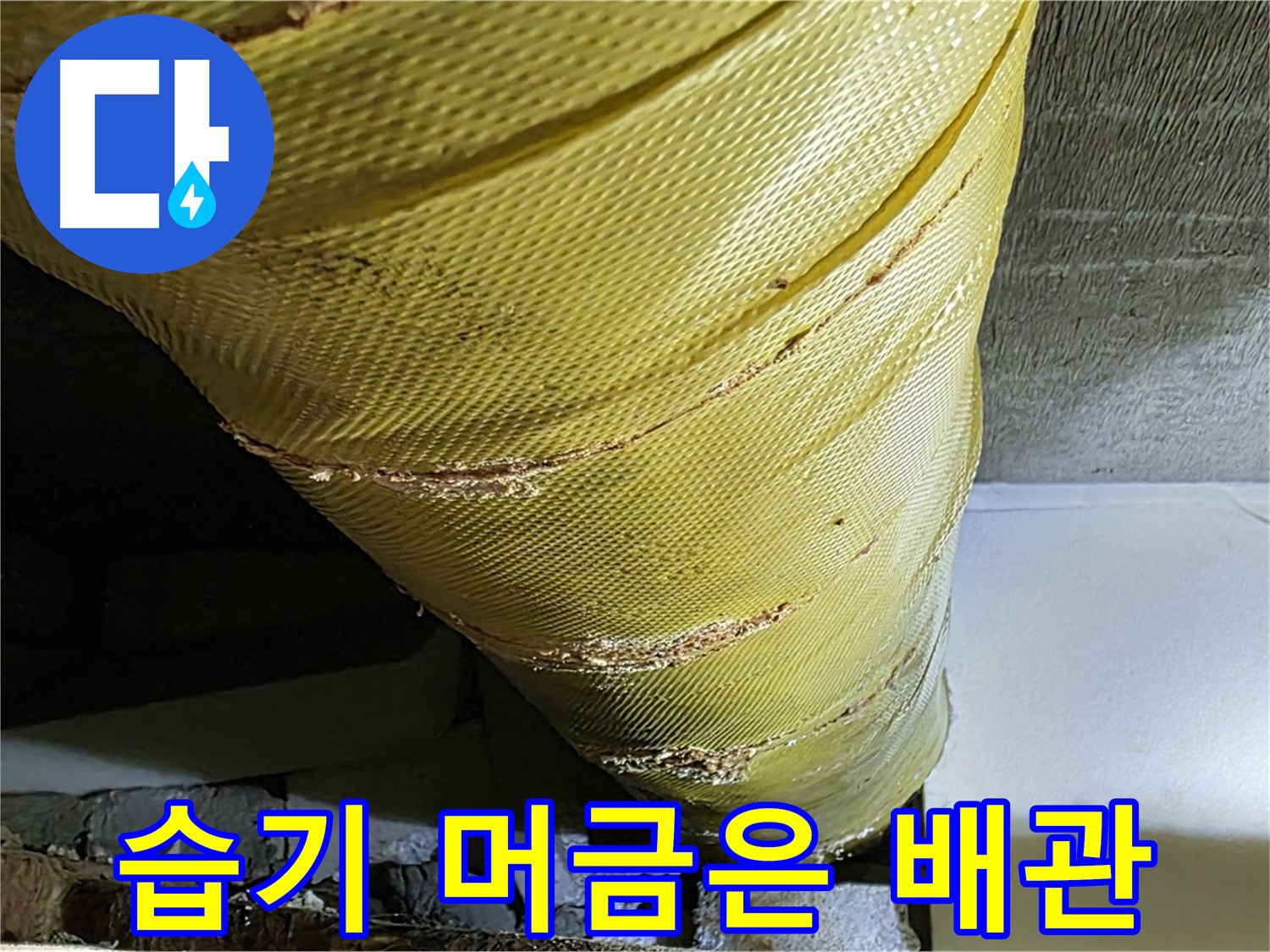 습기 머금은 배관 - 낡은 테이프 - 곰팡이 서식지