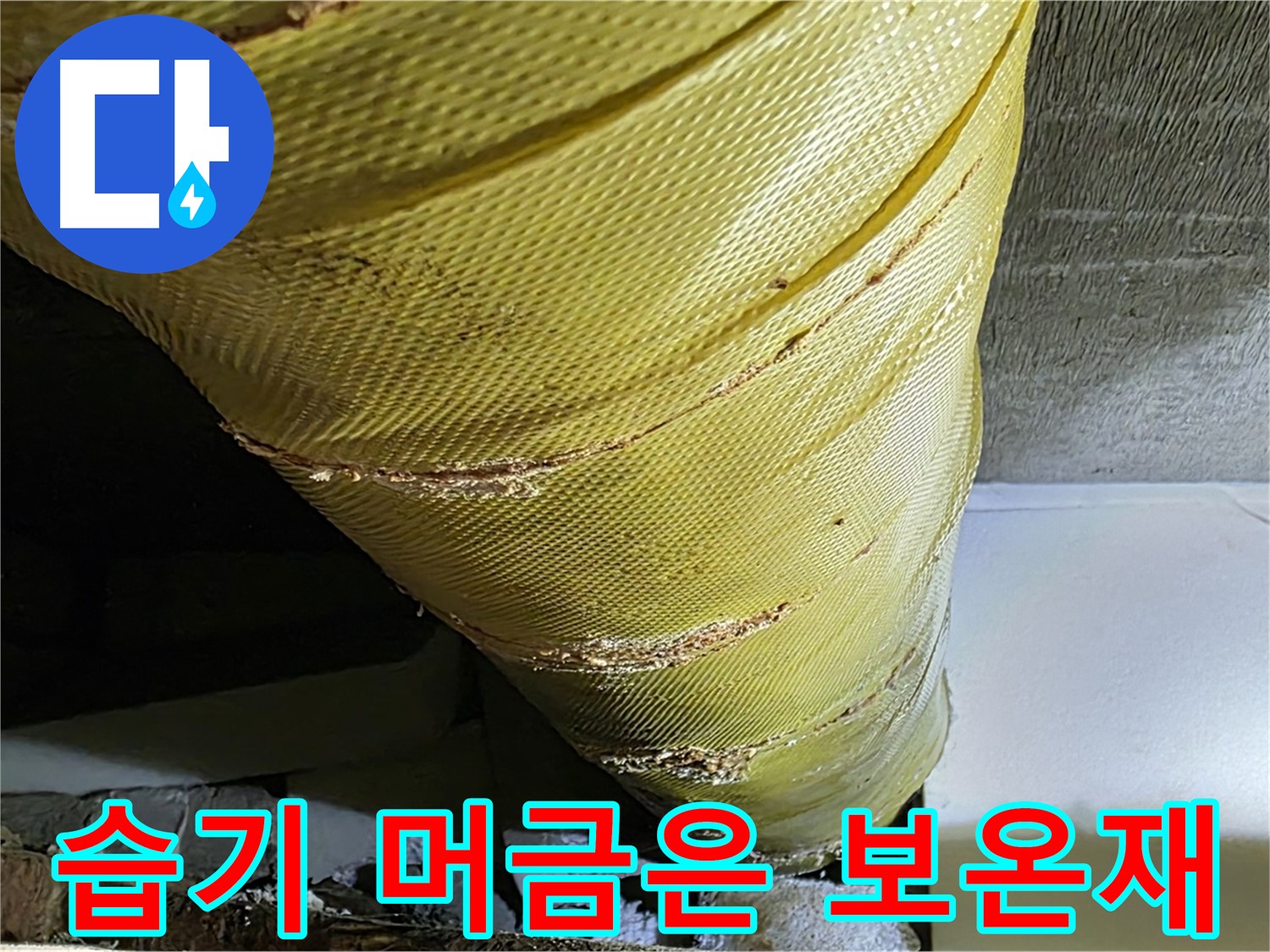 습기 머금은 보온재 - 곰팡이 발생 - 누수 가능성