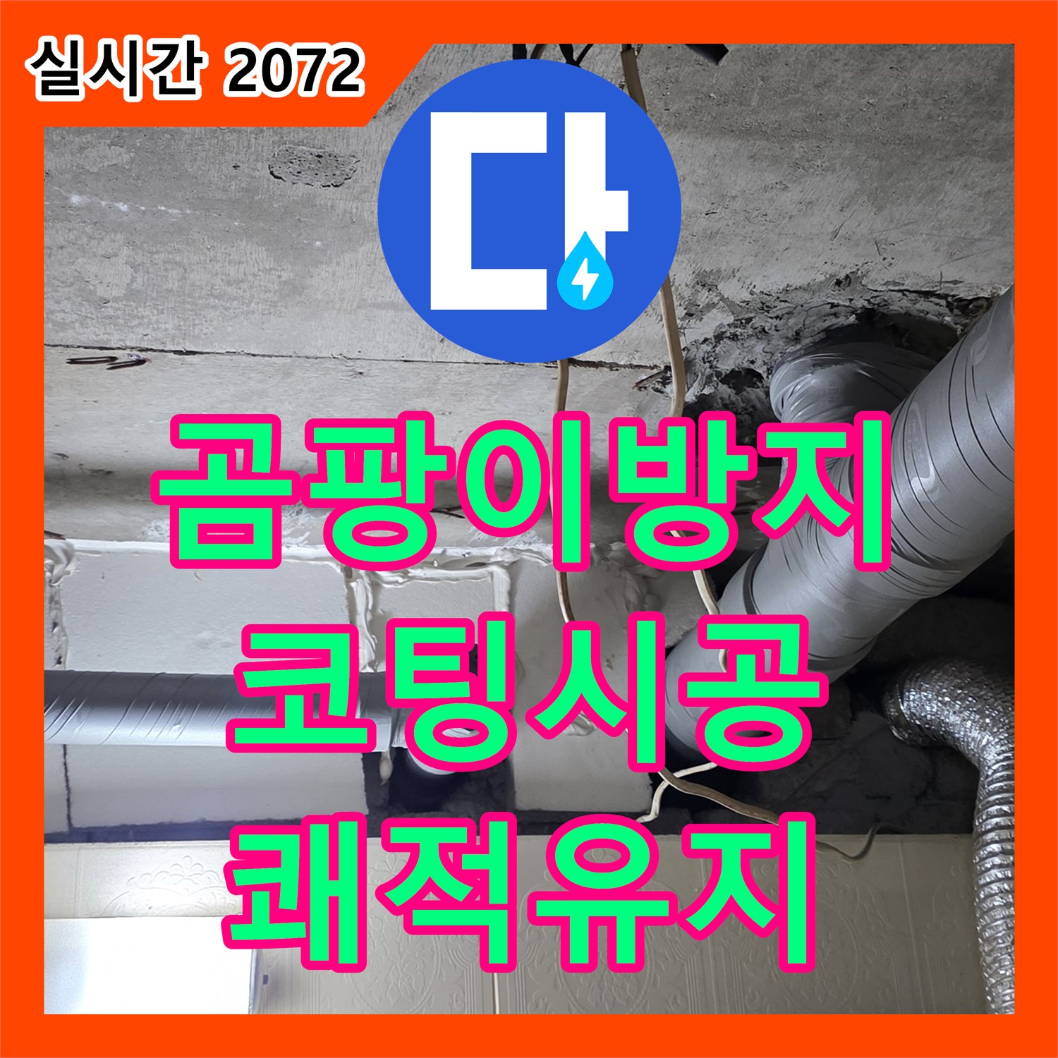 신사동 누수전문, 곰팡이 방지 코팅으로 쾌적한 환경 유지!