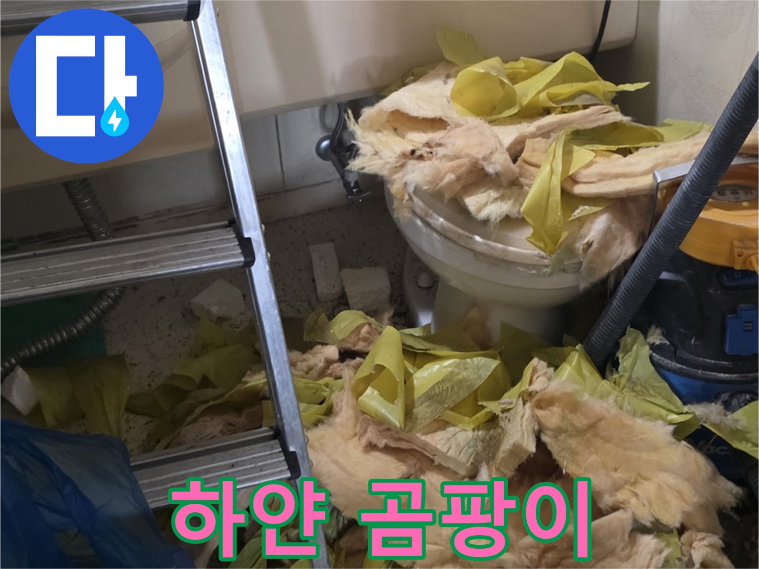 신사동 새절역현대아파트 누수 - 보온재 속 하얀 곰팡이, 건강 위협 - 주의