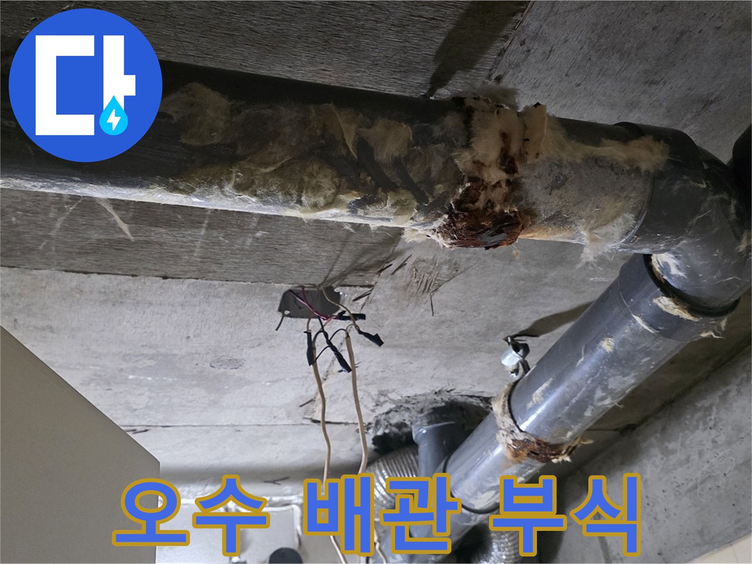 신사동 새절역현대아파트 누수 - 오수 배관 부식 상태 긴급 점검