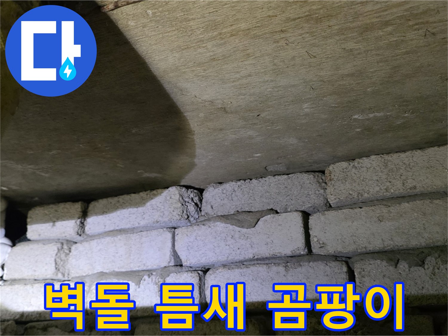 신사동 주택 누수 - 벽돌 벽 하단 틈새 주변 곰팡이 발생