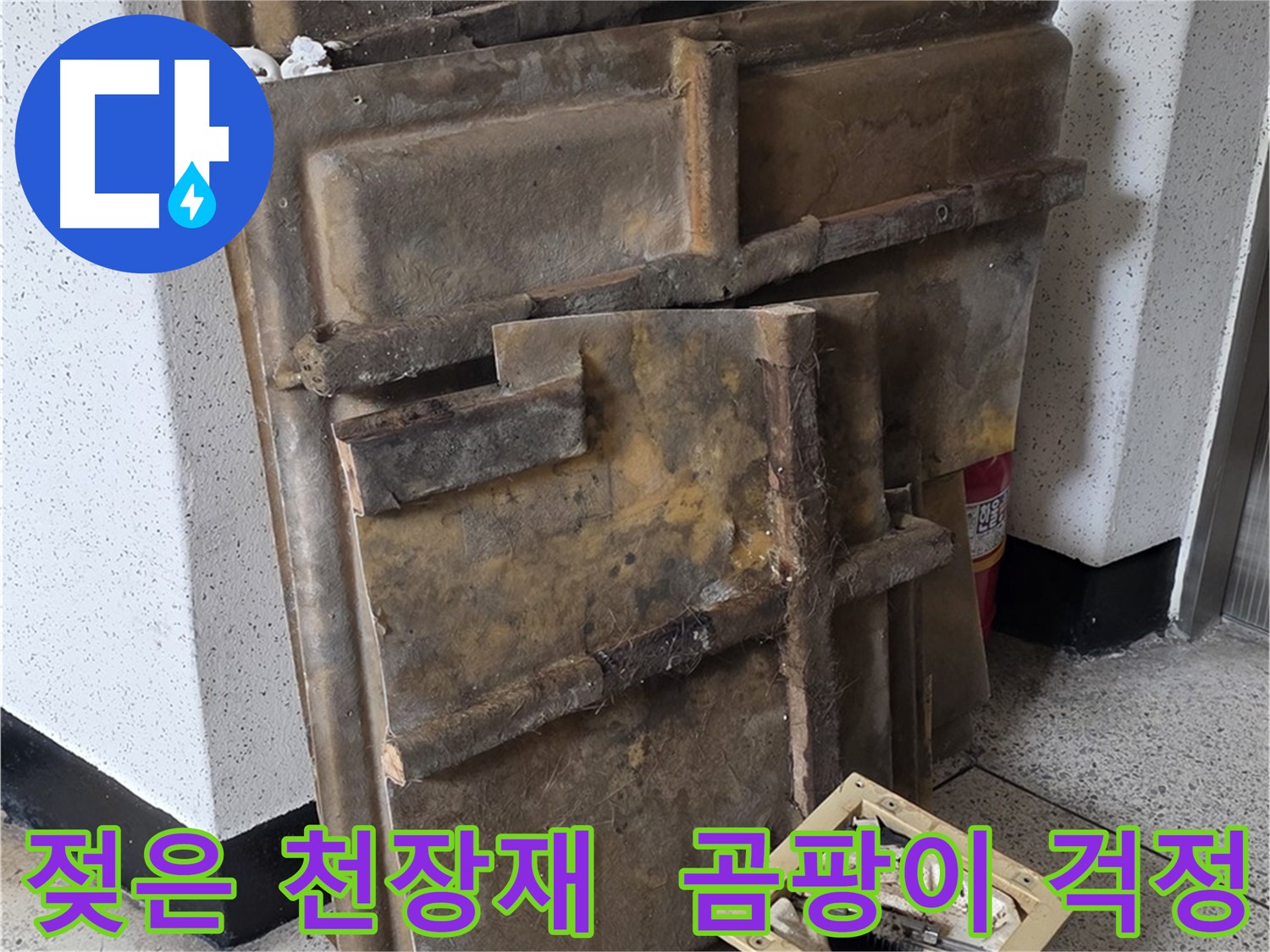 젖은 천장재와 조명 - 곰팡이 걱정 해결