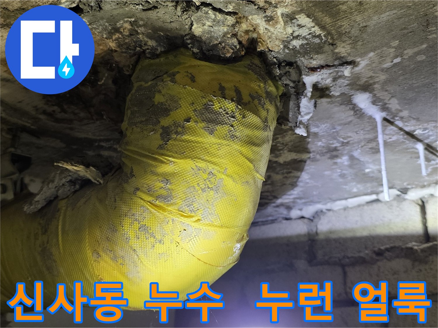 천장 누수와 누런 얼룩 - 신사동 아파트