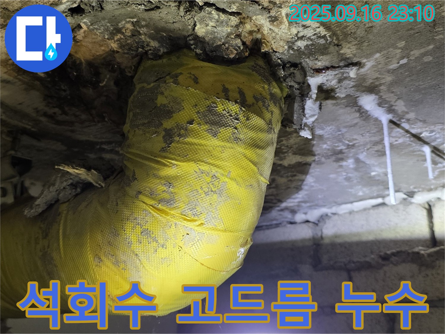 천장에 매달린 석회수 고드름 - 누수가 장기간 진행되었음을 보여주는 증거입니다.