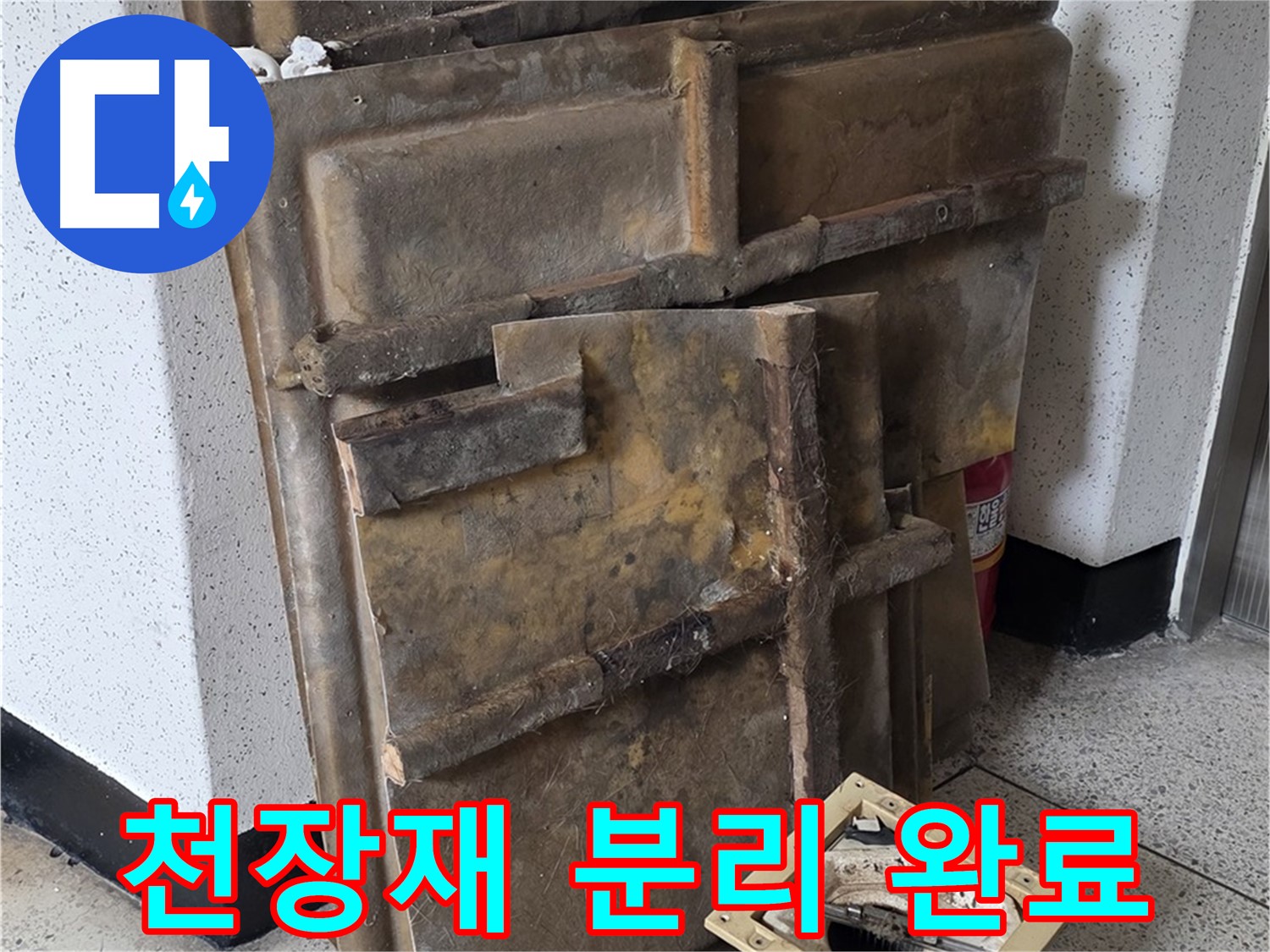 천장재 분리 작업 완료 - 누수 원인 찾기 준비