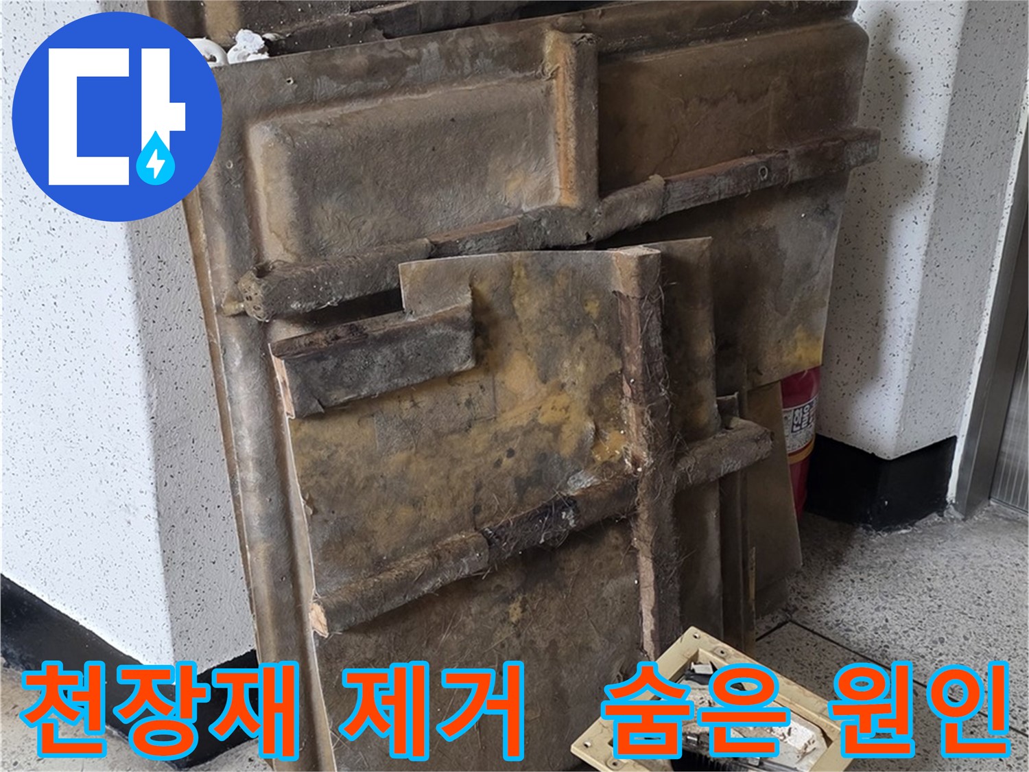 천장재 제거 후 숨겨진 누수 원인 찾기!