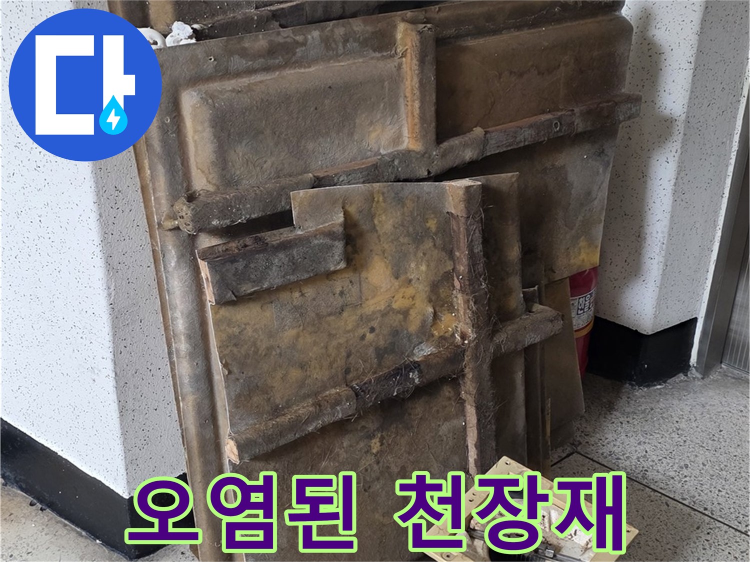 흉물스럽게 변해버린 천장재와 조명