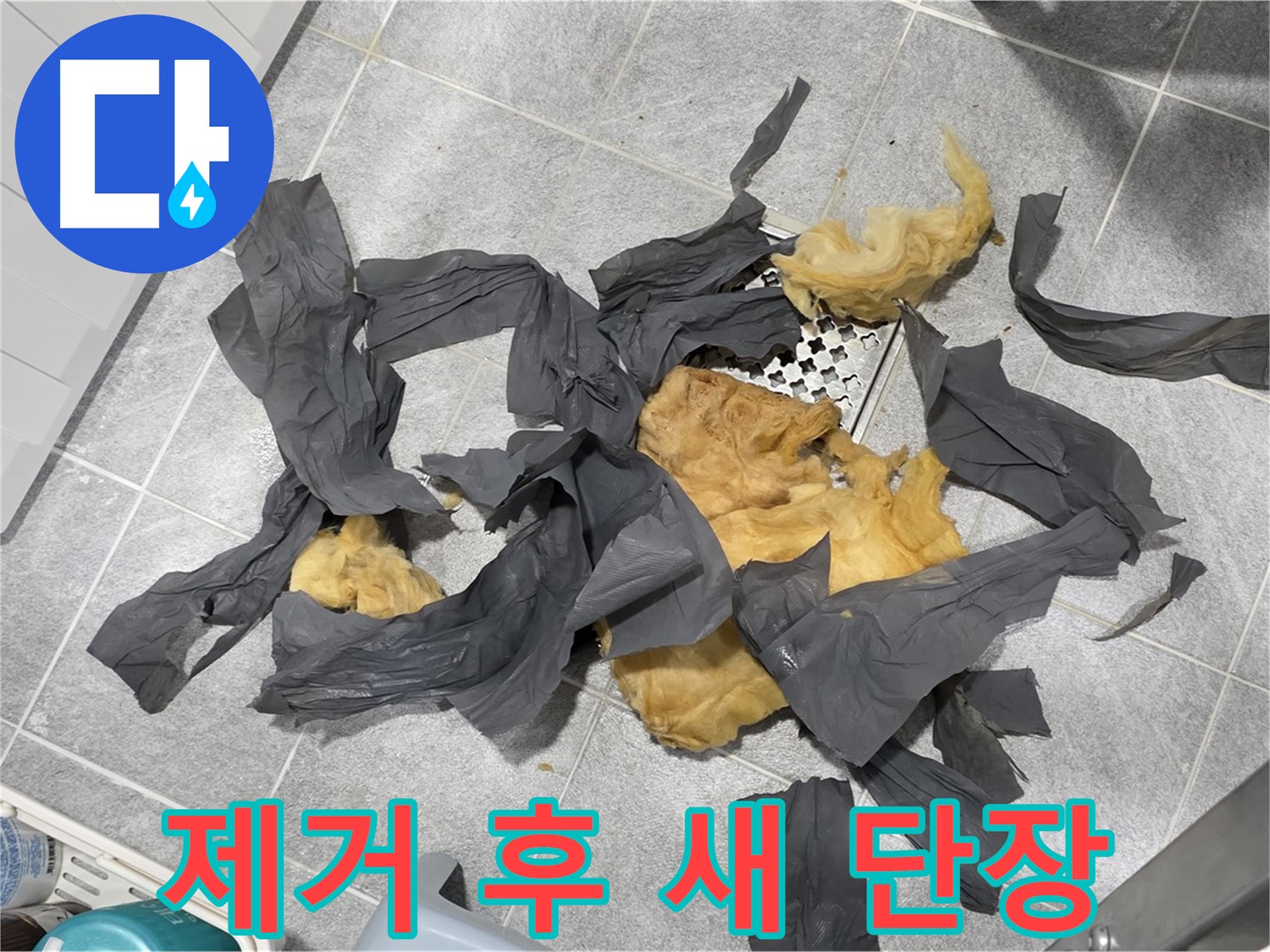 낡은 방음재 제거 - 완벽한 제거 후 새 단장