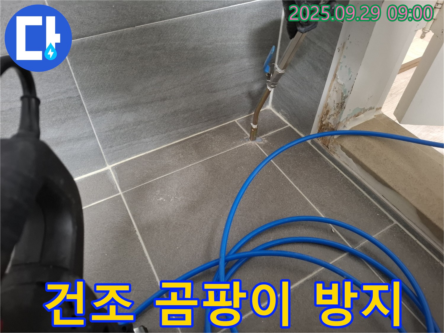 고온 건조 곰팡이 방지 - 곰팡이 발생을 억제하고, 쾌적한 환경을 유지합니다.