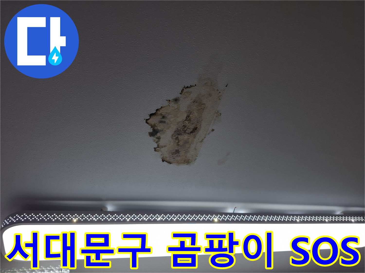 곰팡이 뒤덮인 천장 - 누수 해결을 위한 SOS 신호