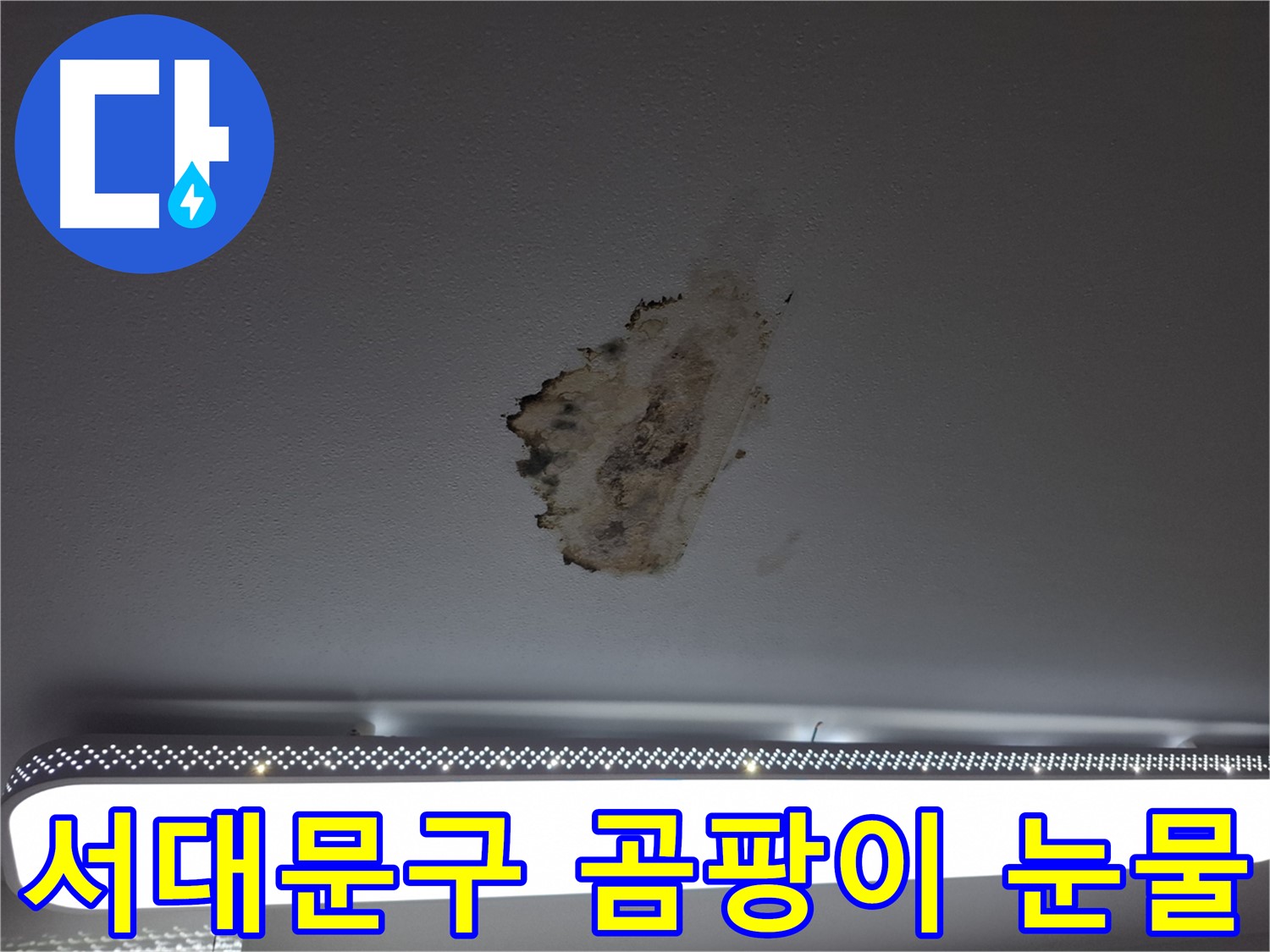 곰팡이 얼룩진 천장 - 눈물을 닦아드립니다