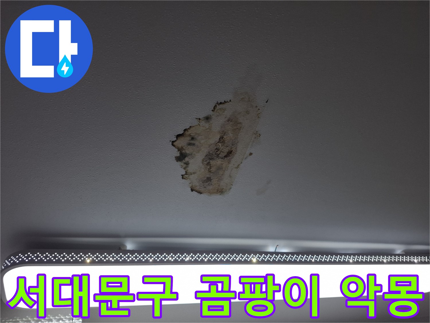 곰팡이 핀 천장 - 악몽, 이제 안녕