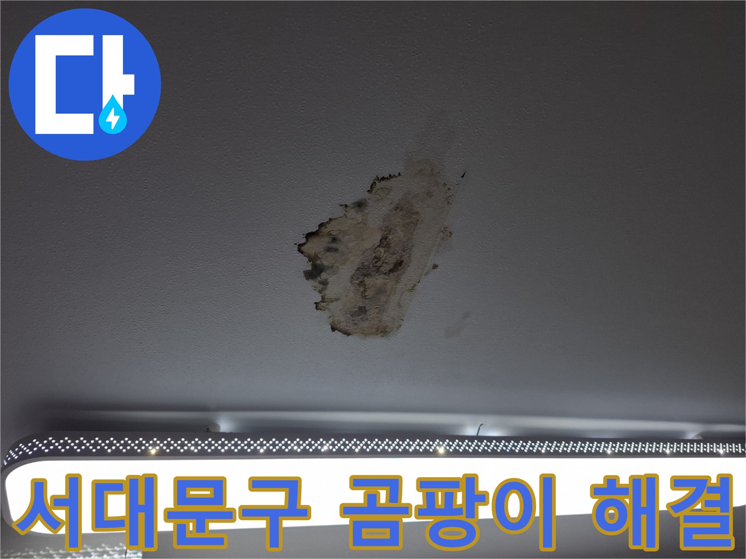 곰팡이 핀 천장 - 침묵을 깨고 해결하세요