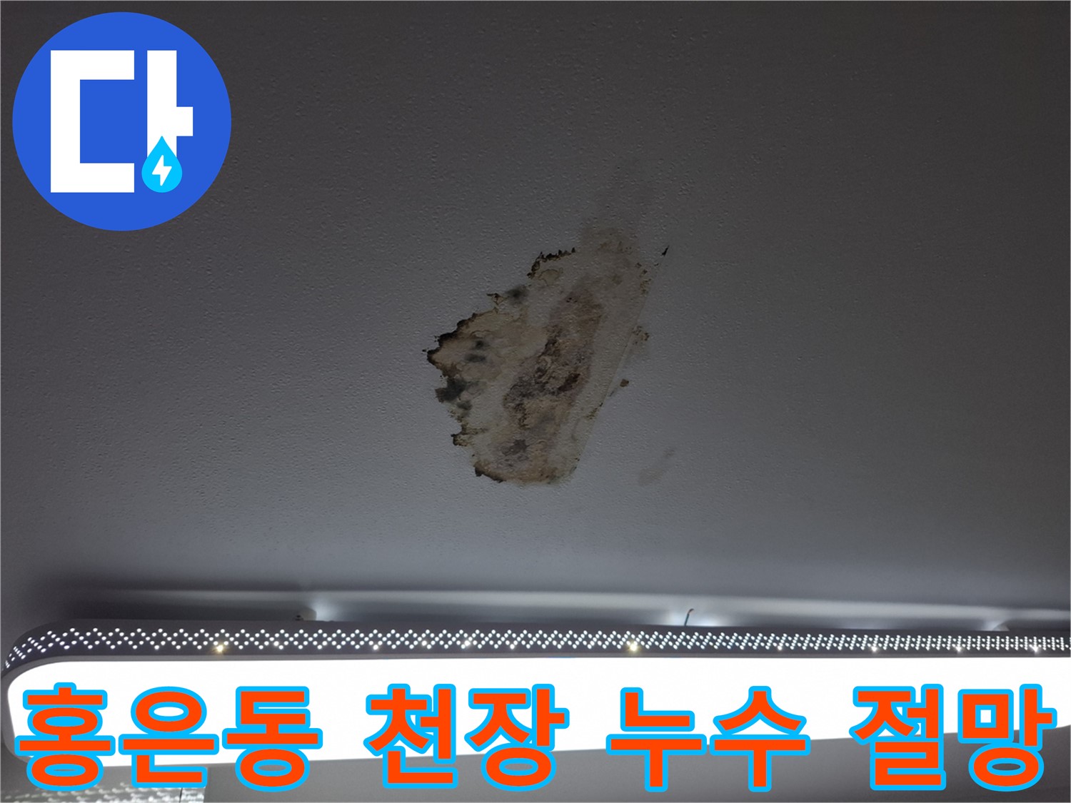 누수 얼룩 - 천장의 절망적인 외침