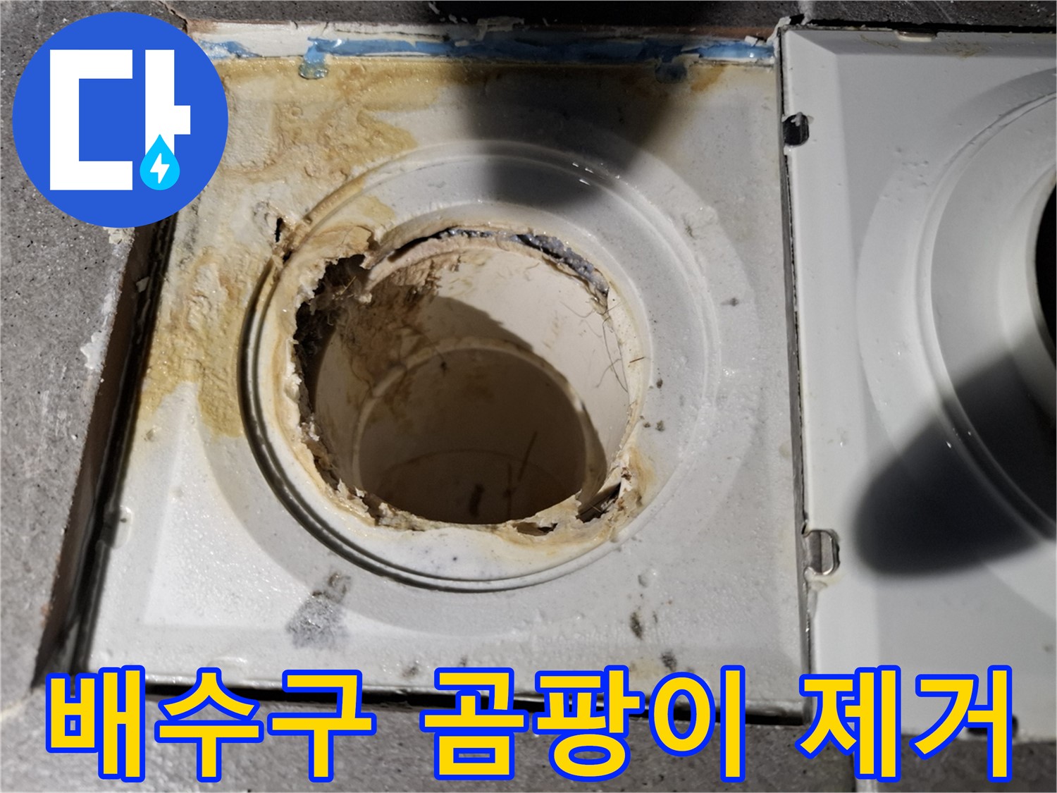 욕실 배수구 주변 곰팡이 제거 - 쾌적한 욕실 환경
