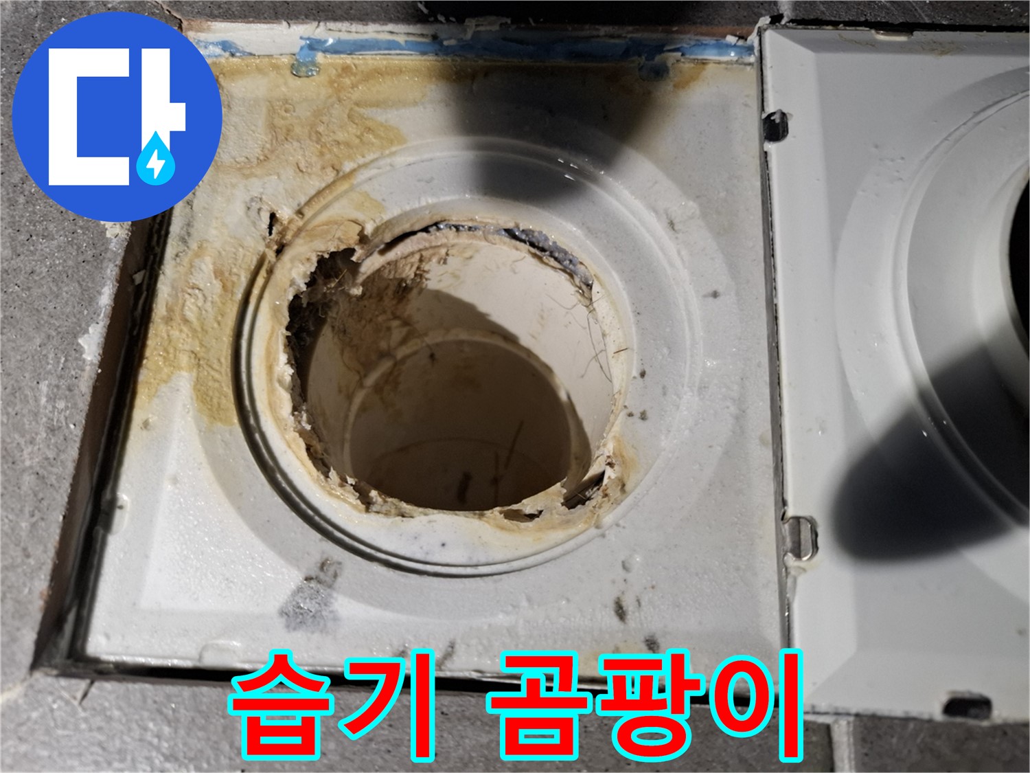 욕실 배수구 주변 습기 및 곰팡이 확인 - 누수 의심