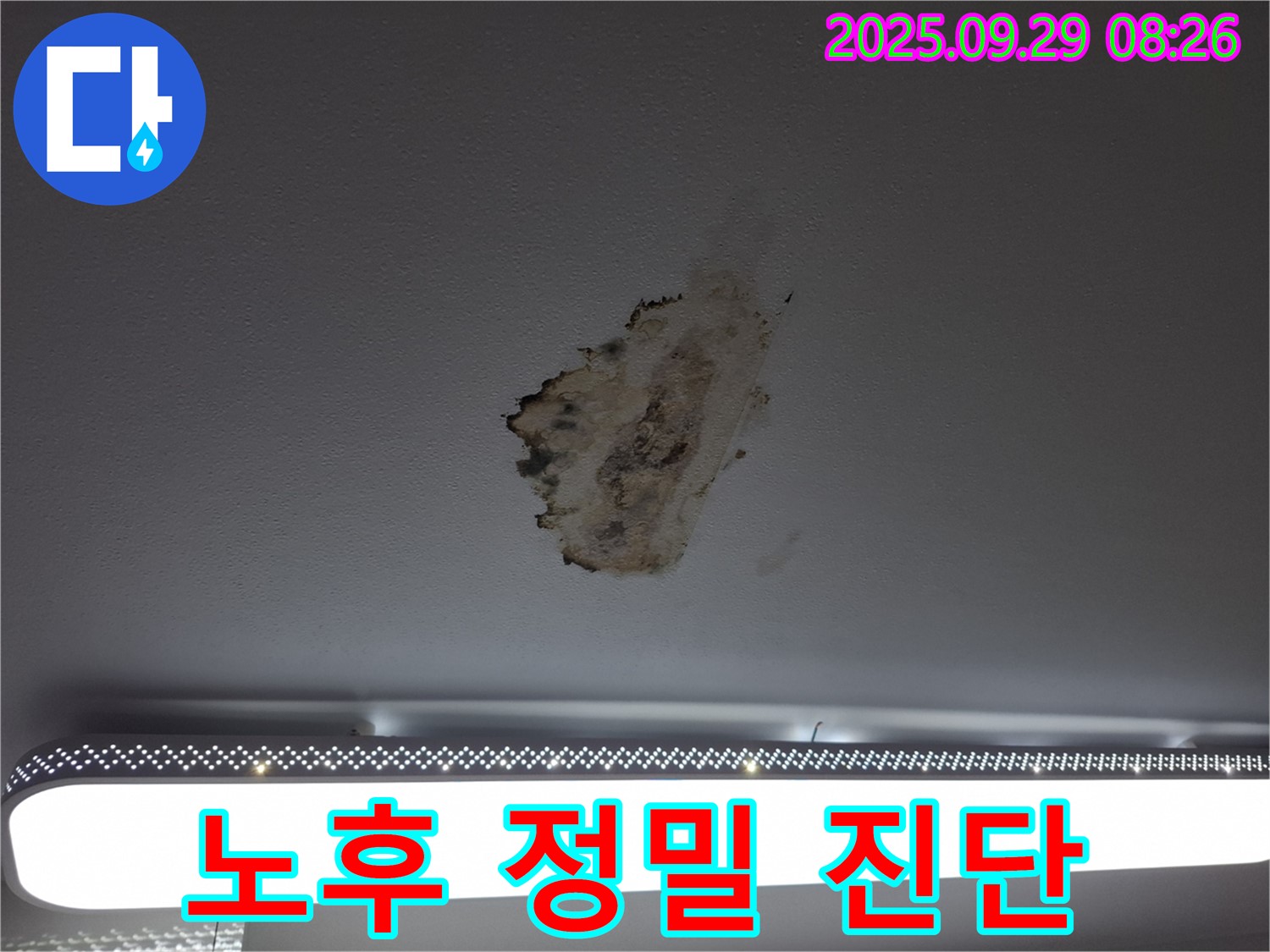 천장 누수 - 건물 노후 - 정밀 진단