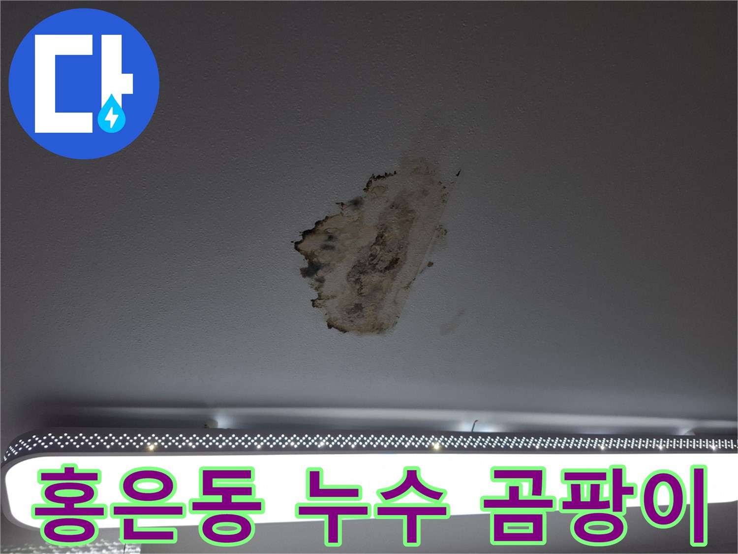 천장 누수 - 곰팡이, 더 이상 안돼요