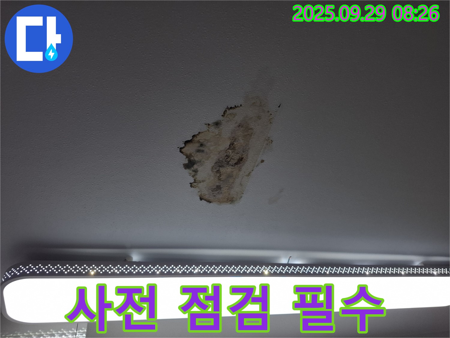 천장 누수 - 사전 점검 - 곰팡이 예방