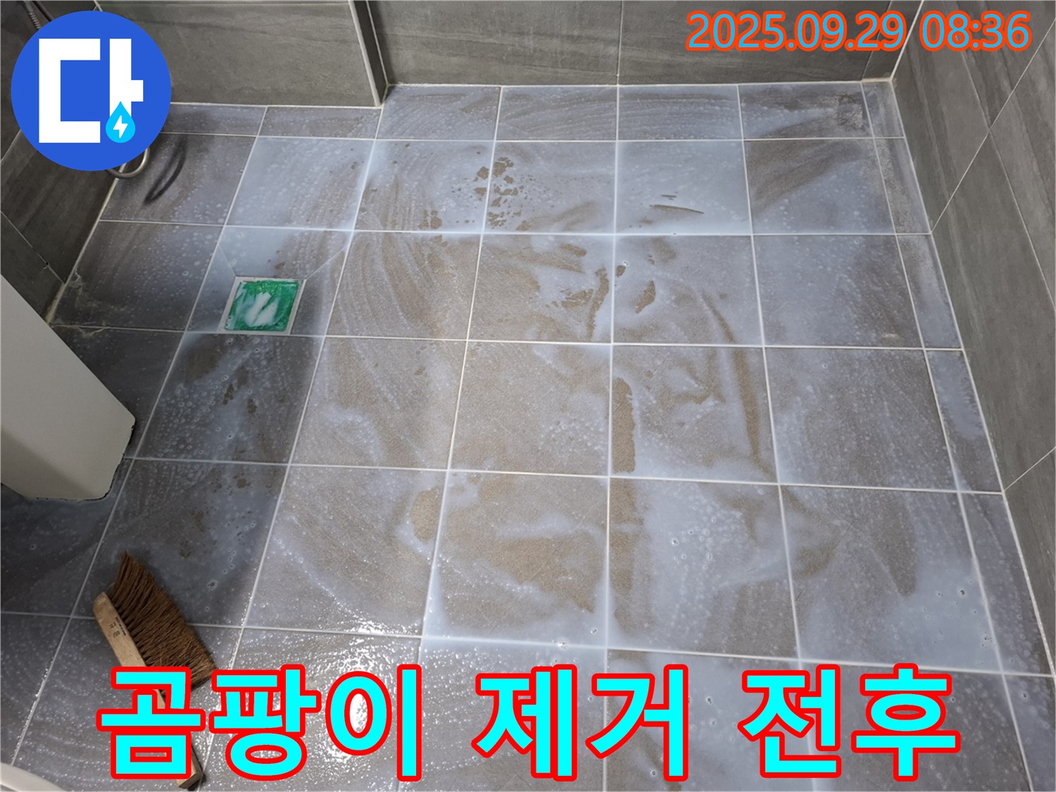 타일 틈새 - 곰팡이 제거 전후 비교