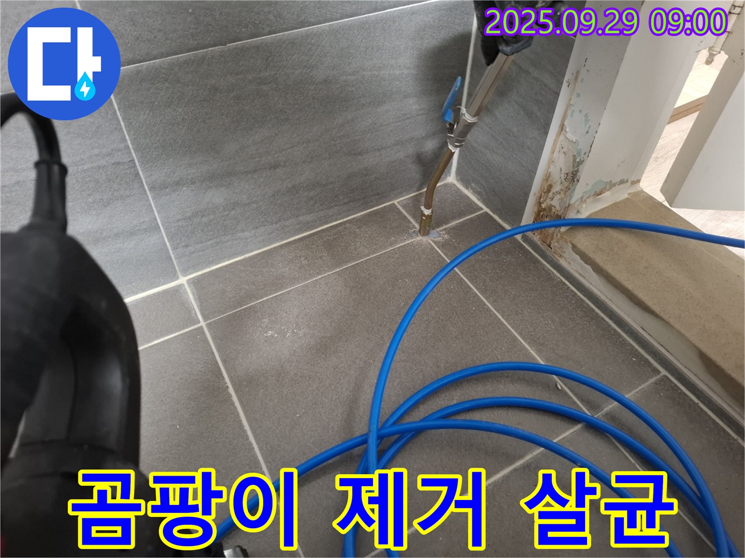 틈새 곰팡이 제거 - 고온 살균으로 곰팡이를 완벽하게 제거합니다.