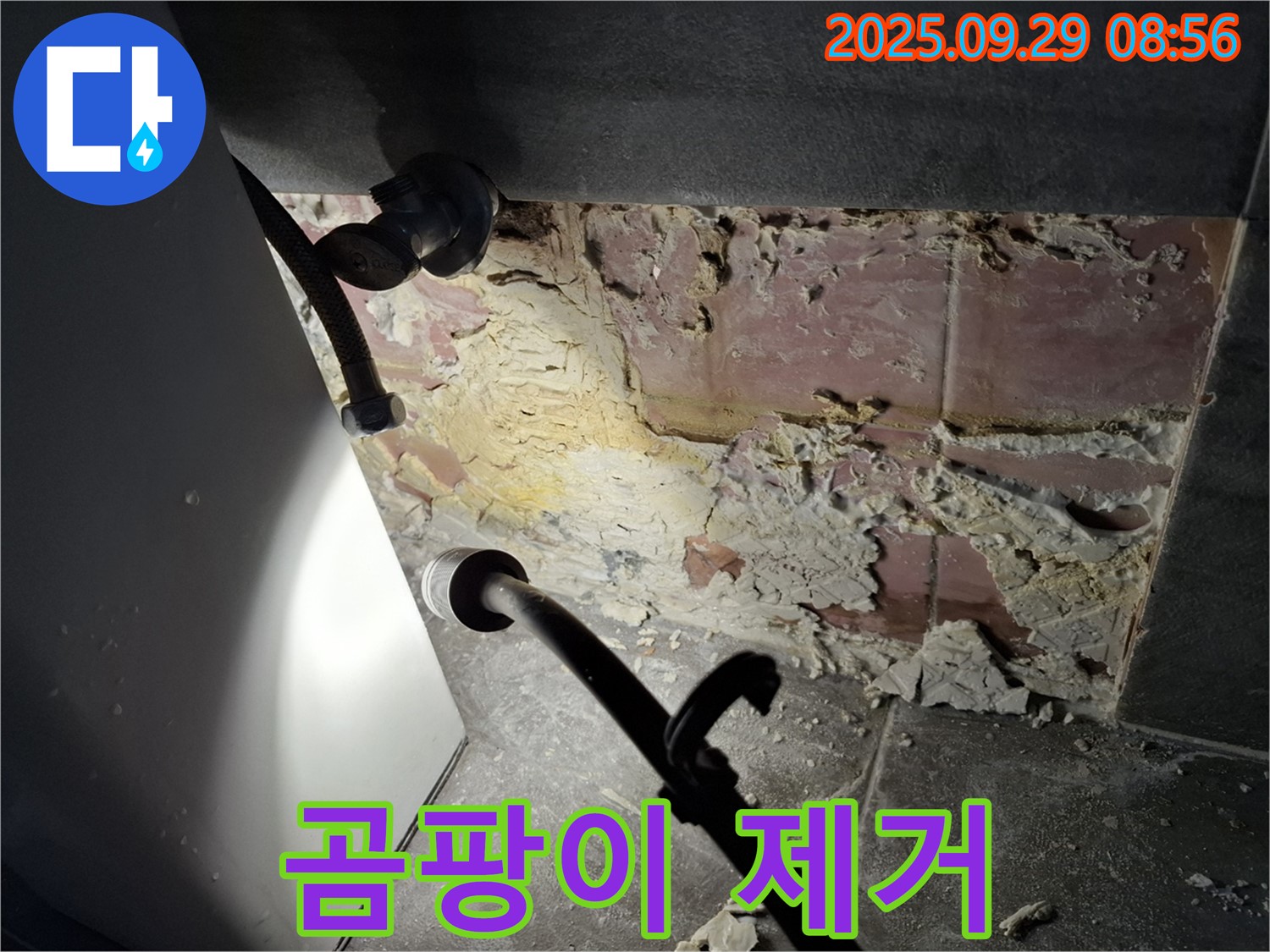 홍은빌라 곰팡이 제거 - 깨끗하고 건강하게
