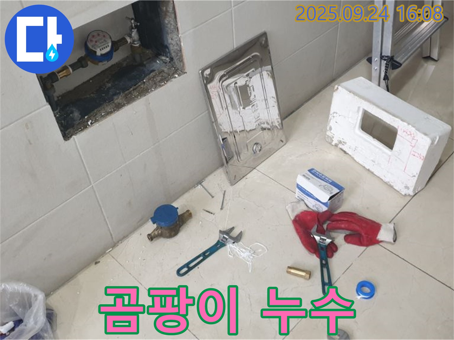 공릉동 누수 - 계량기 주변 곰팡이 - 누수 의심