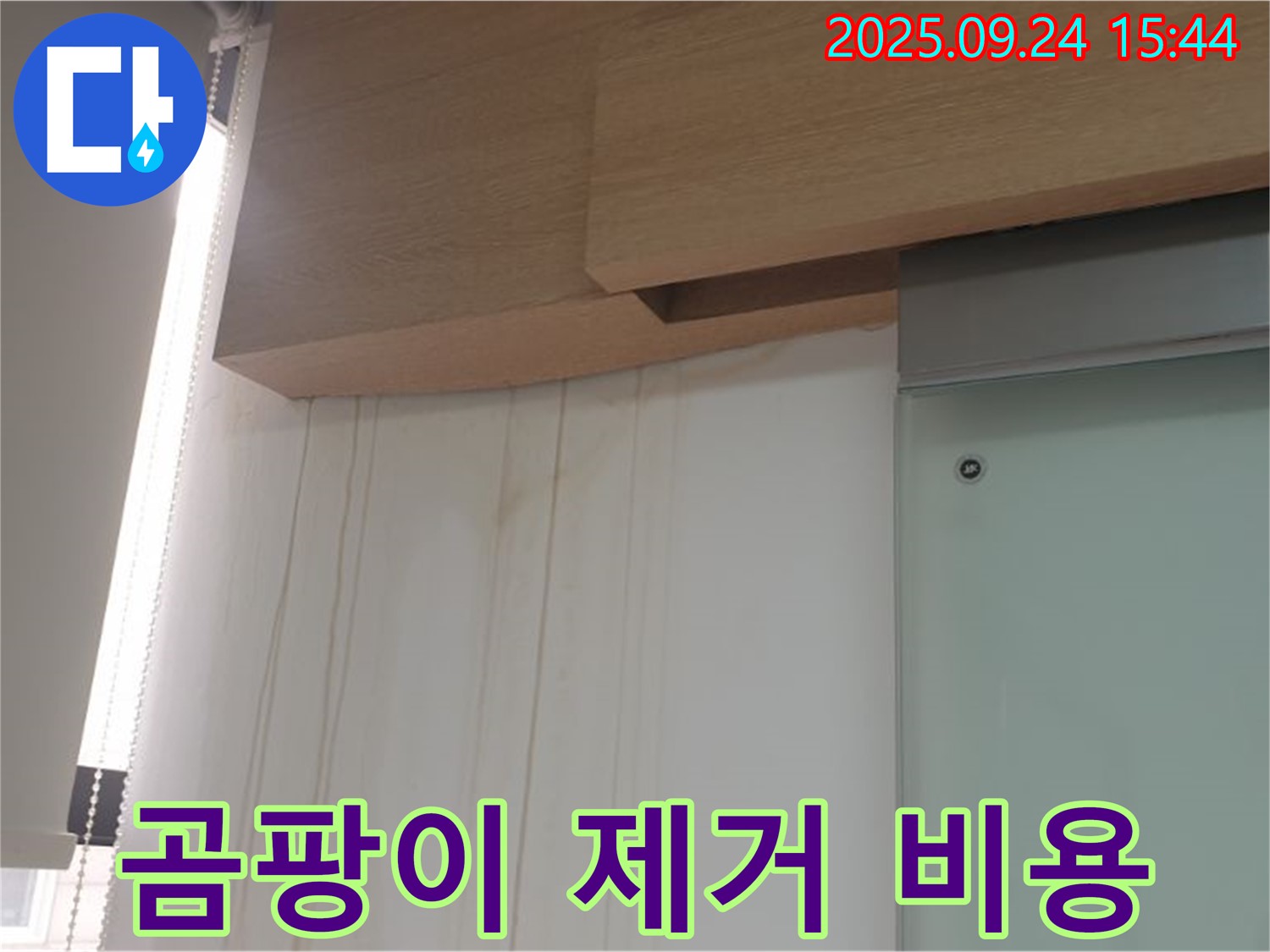 노원구 벽 곰팡이 - 합리적인 곰팡이 제거 비용 상담 제공