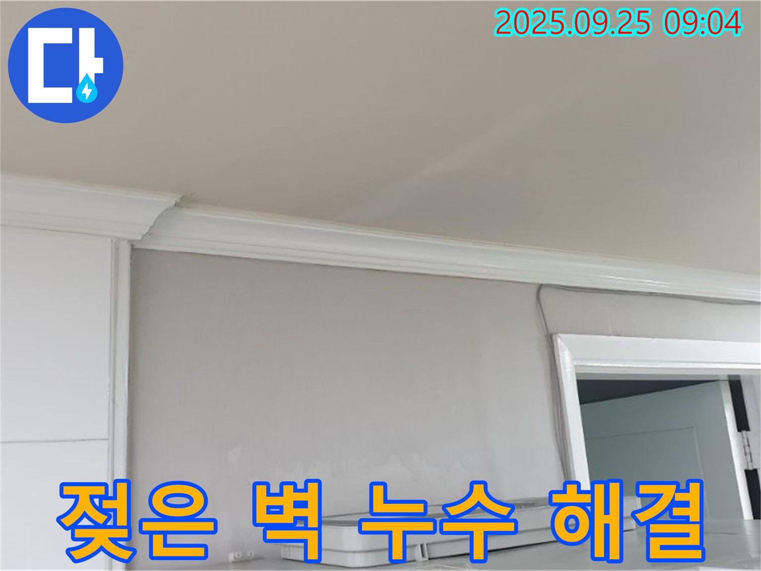 양주 백석읍 - 젖은 벽, 곰팡이 발생 전에 누수를 해결하여 쾌적한 환경을 유지하세요.