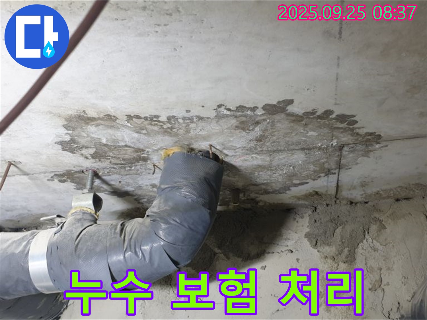 양주 연곡리 누수 - 누수 보험 처리까지 완벽하게 지원