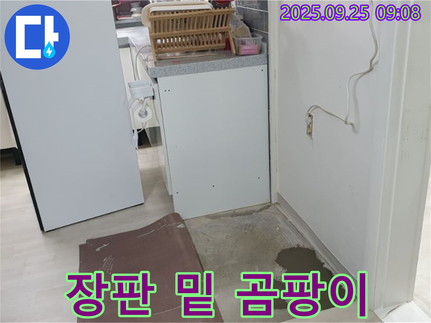 양주 연곡리 누수 현장 - 장판 밑에 곰팡이가 심하게 번식했습니다.