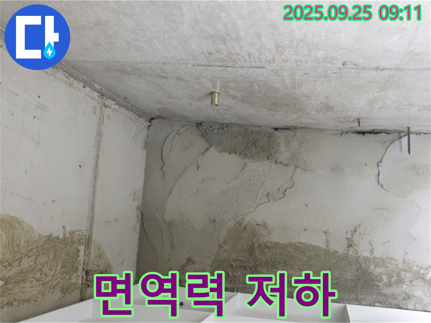 양주시 백석읍 누수 - 곰팡이 - 면역력 저하, 질병 유발
