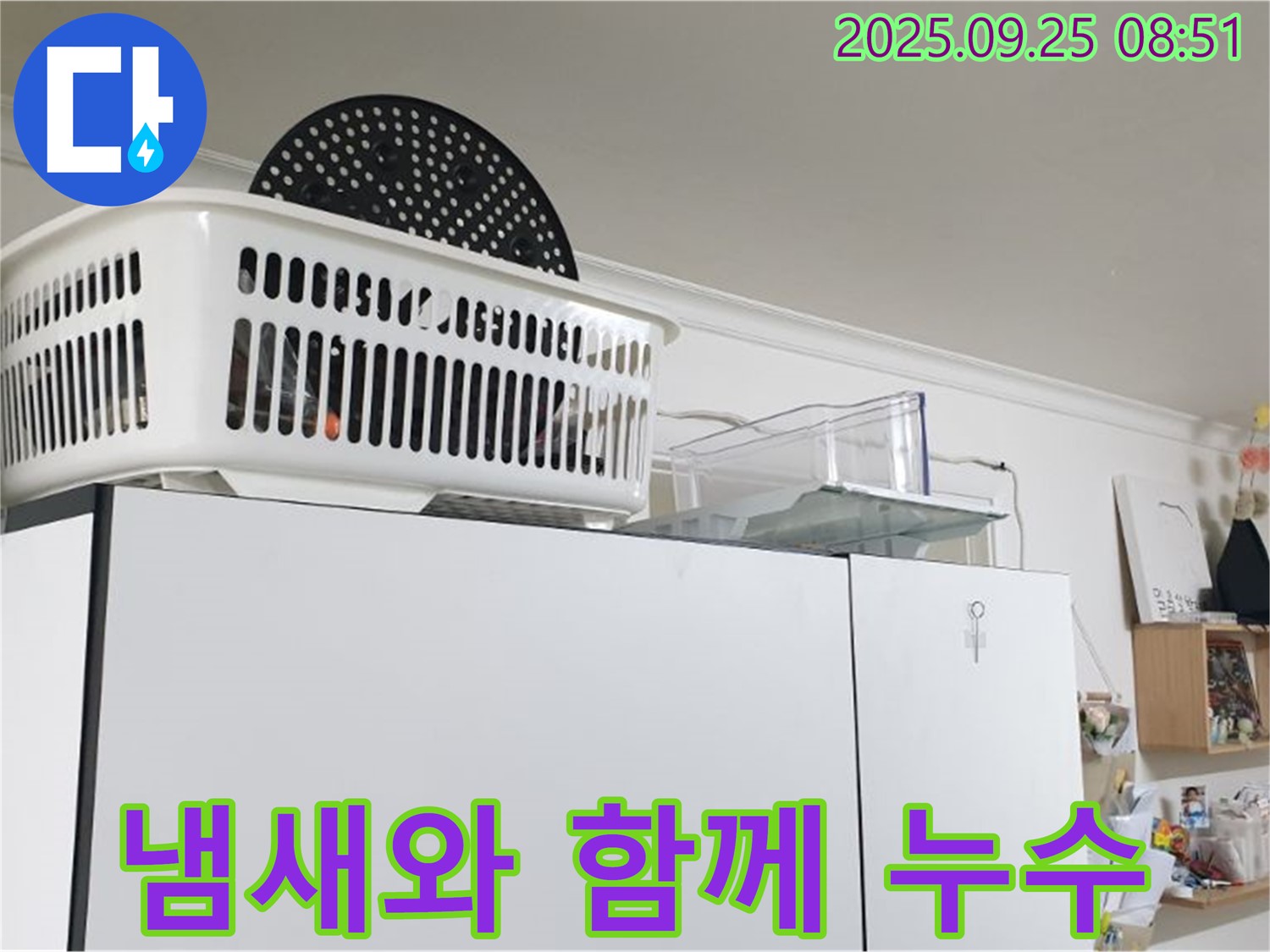 양주시 백석읍 연곡리 냉장고 위 누수 - 누수, 냄새와 함께 찾아왔다면 곰팡이를 의심하세요!
