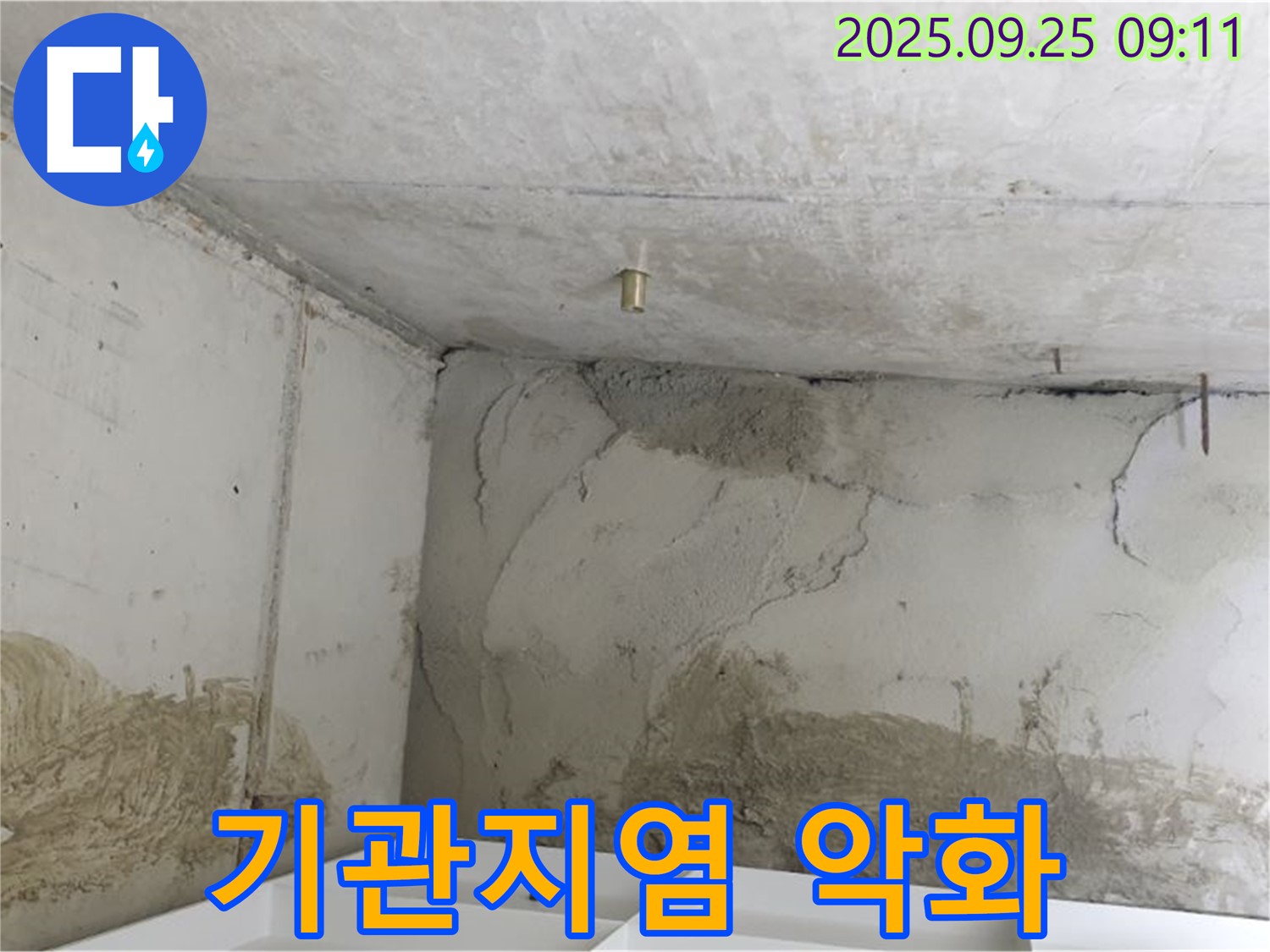 양주시 백석읍 연곡리 누수 - 곰팡이 - 기관지염 악화