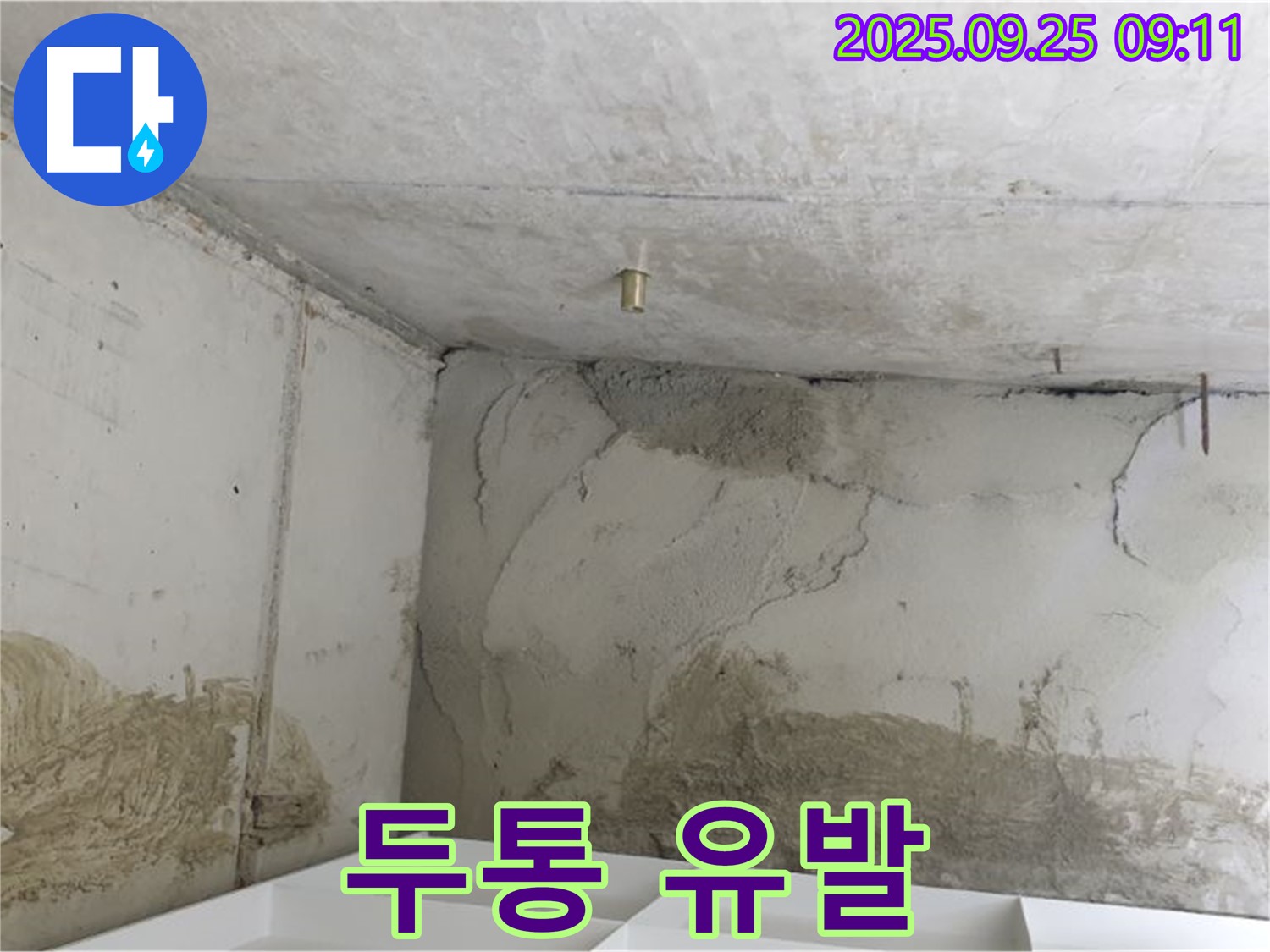 양주시 백석읍 연곡리 누수 - 곰팡이 냄새 - 두통 유발