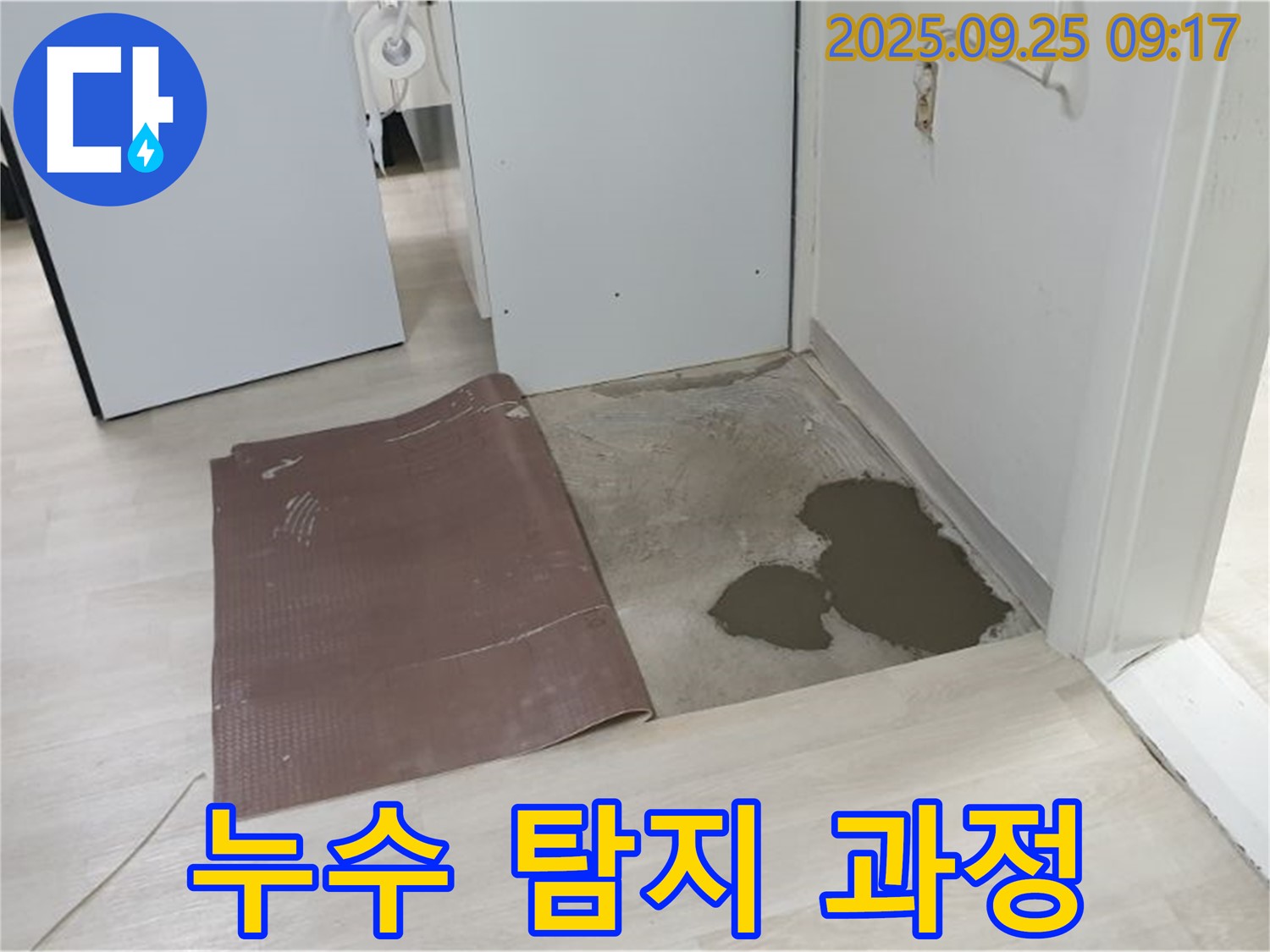 양주시 백석읍 연곡리 누수 - 누수 탐지 과정 상세