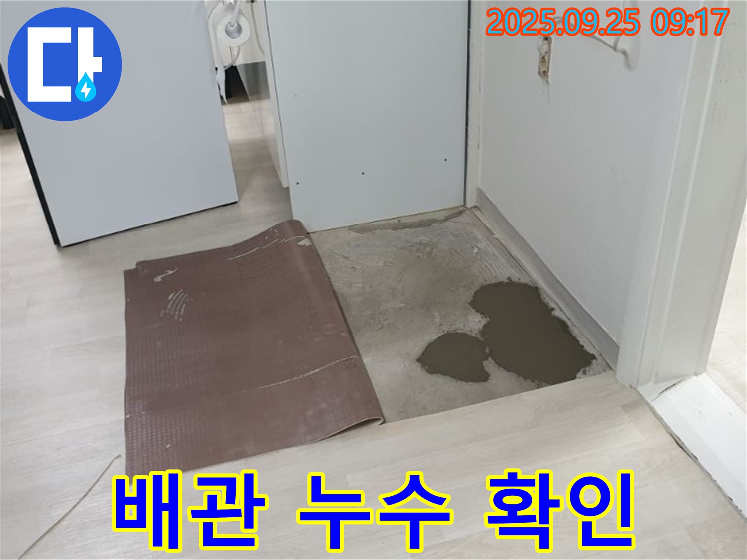 양주시 백석읍 연곡리 누수 - 배관 누수 확인 장면