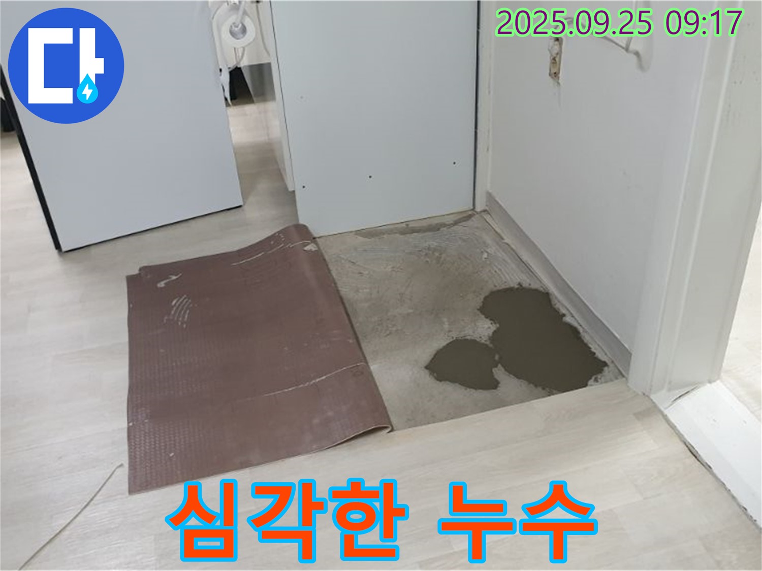 양주시 백석읍 연곡리 누수 - 장판 뜯어보니 심각한 누수 상태