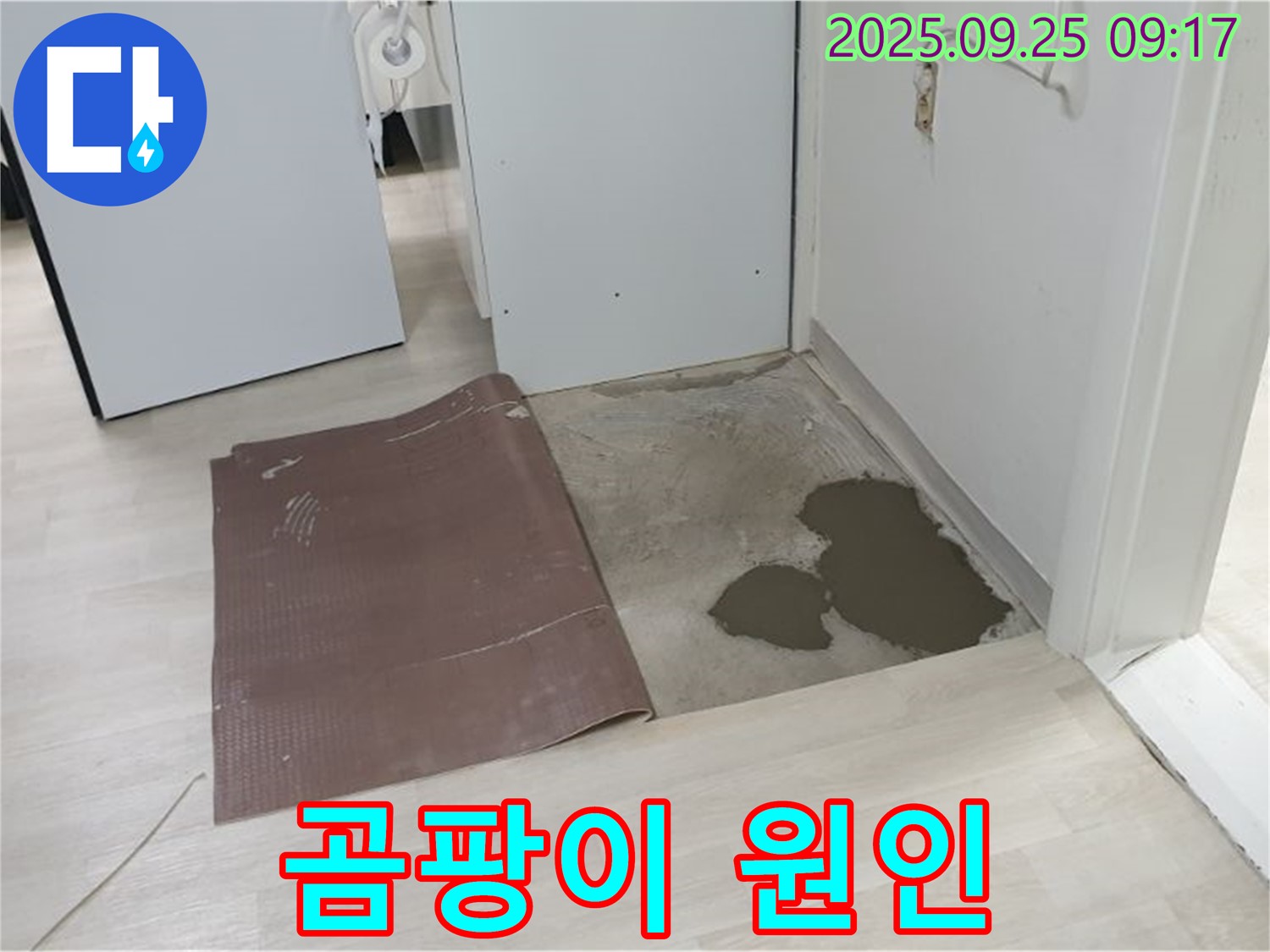 양주시 백석읍 연곡리 누수 - 장판 밑 곰팡이의 원인은 누수