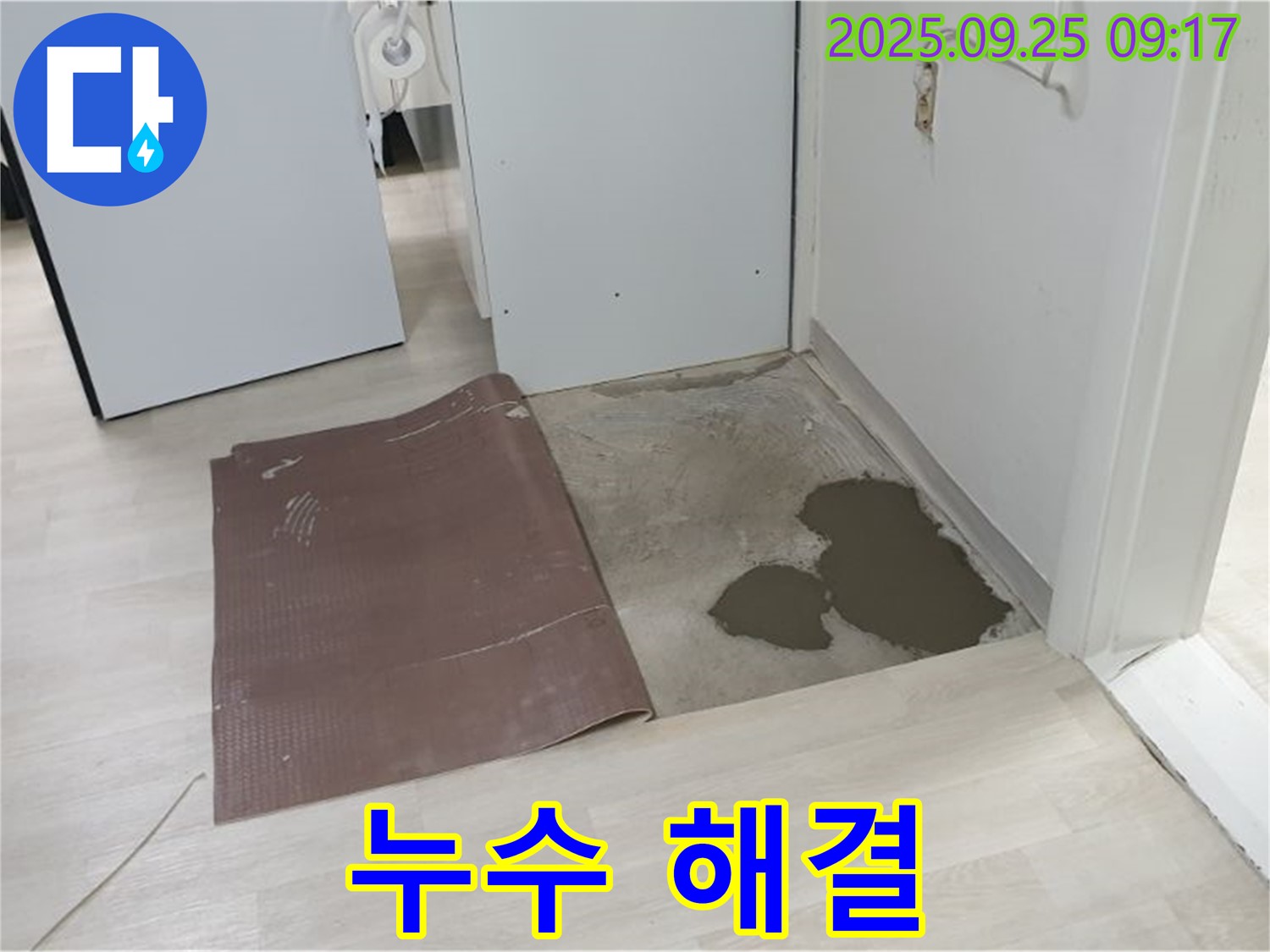 양주시 백석읍 연곡리 누수 - 장판 밑 누수 완벽 해결 약속