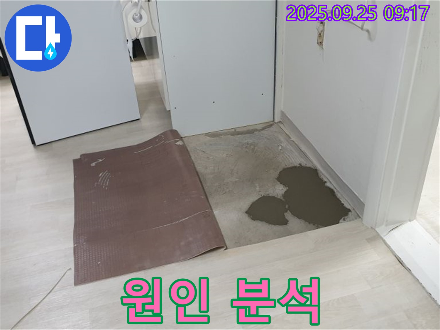 양주시 백석읍 연곡리 누수 - 장판 밑 누수 원인 분석 과정