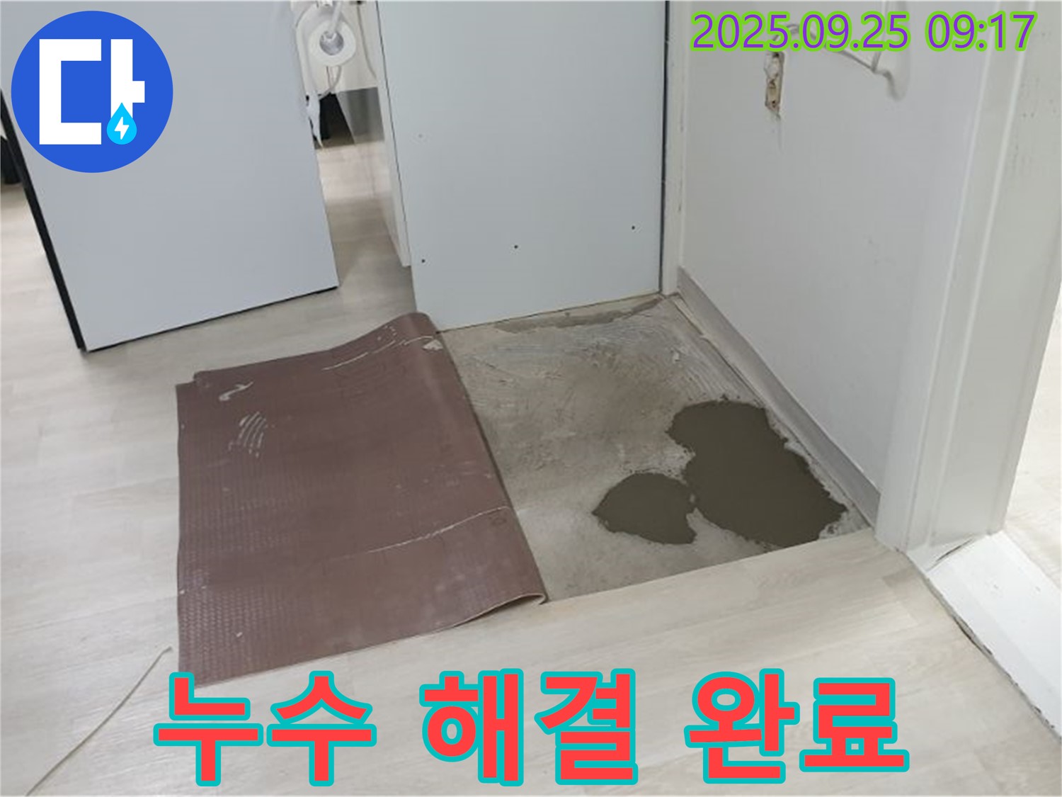 양주시 백석읍 연곡리 누수 - 장판 밑 누수 해결 완료!