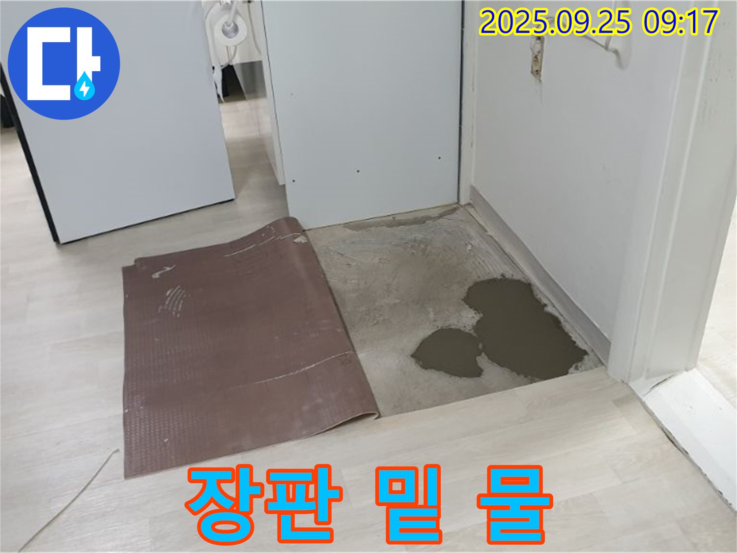 양주시 백석읍 연곡리 누수 - 장판 아래 숨겨진 물의 정체