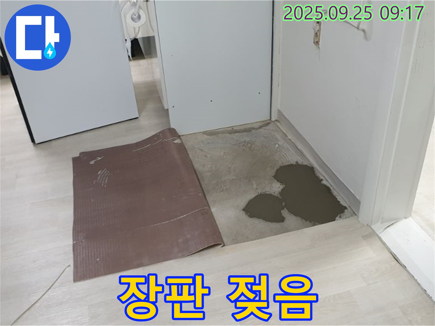 양주시 백석읍 연곡리 누수 - 장판 젖음 - 단순 습기 아닐 수도